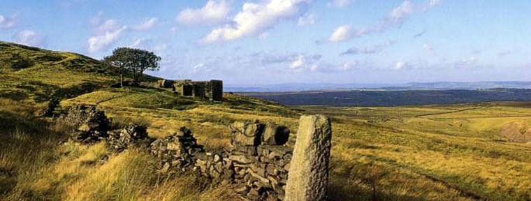 HAWORTH MOOR peaceful