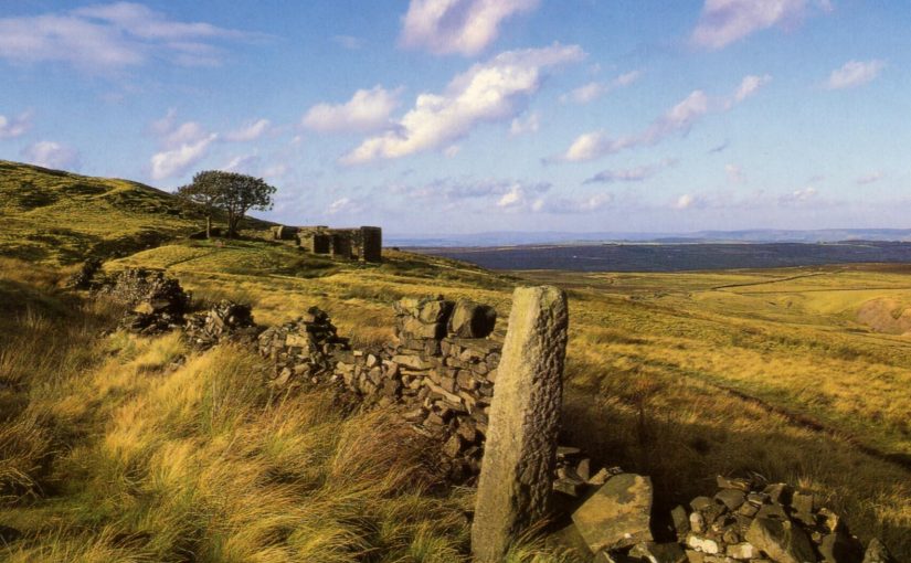 Haworth moors summer