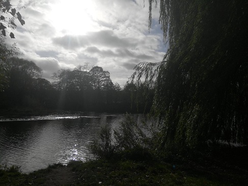 Kirkstall riverbank