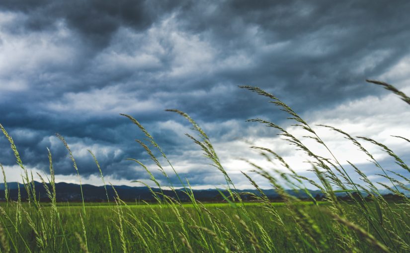 Stormy Weather In The Brontë Writing