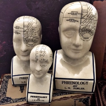 Cabinet Of Curiosities phrenology