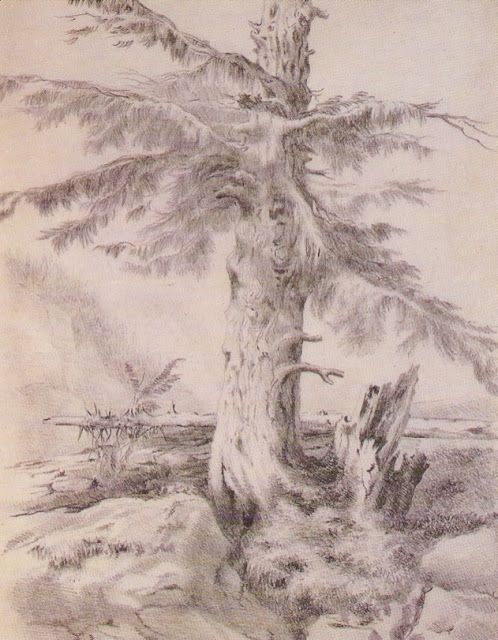 Tree by Emily Bronte