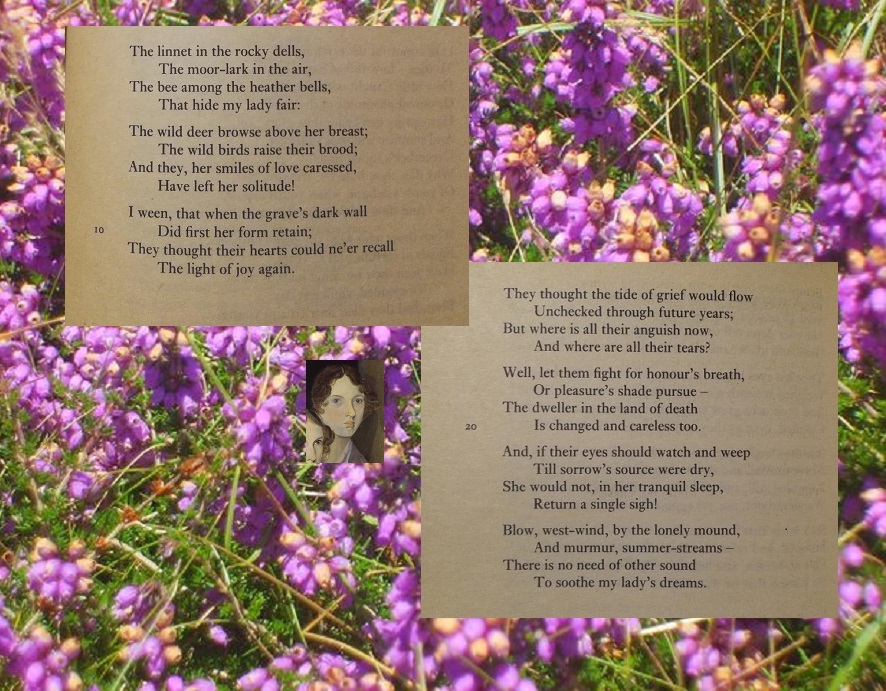 Linnet poem Emily Bronte