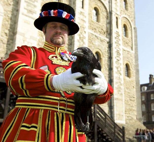 Ravenmaster Chris Skaife