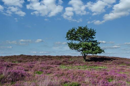 A Poetic Anniversary And Brontë Good News