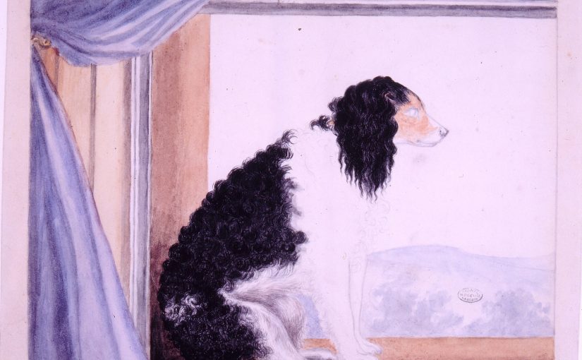 The Story Of Flossy – Anne Bronte’s Beloved Pet Dog