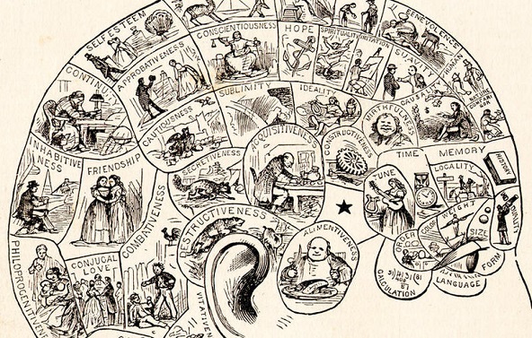 Reading The Bumps: The Brontës And Phrenology
