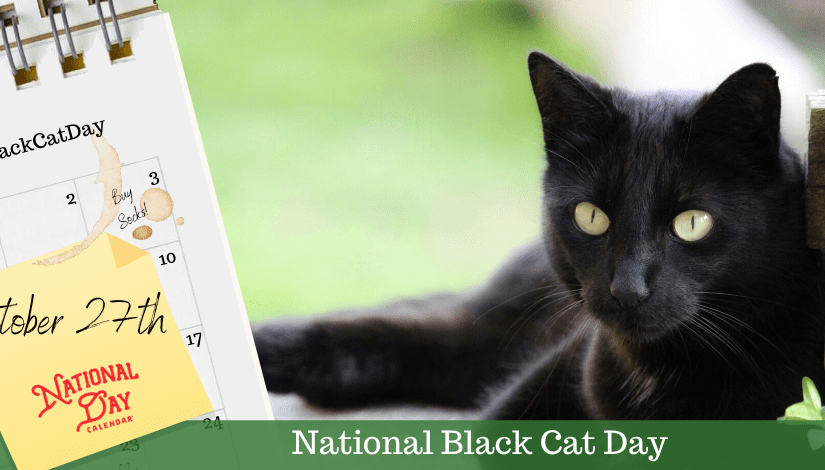The Brontës And National Black Cat Day